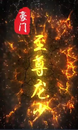 《豪门至尊龙少》海报