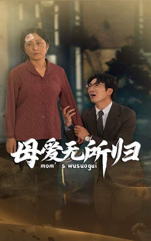 《母爱无所归》海报