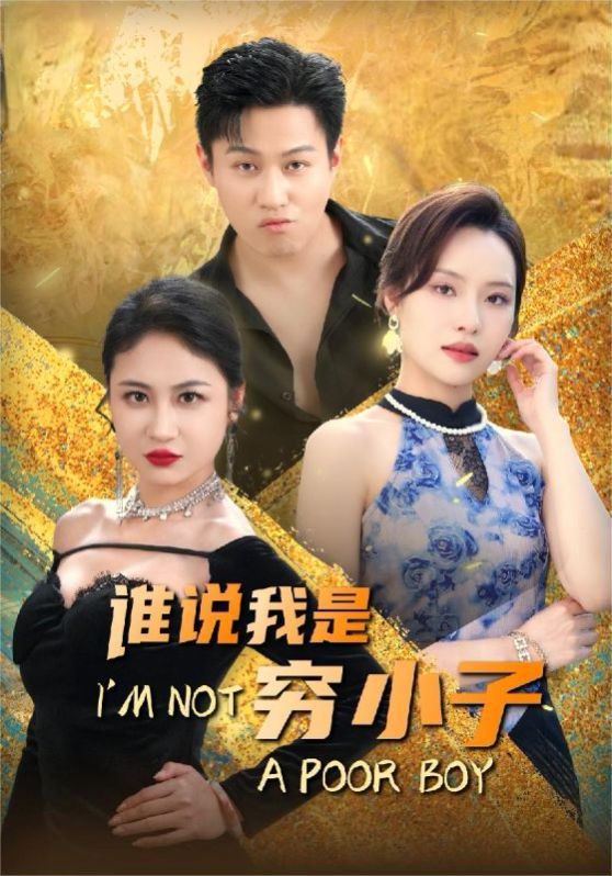 《谁说我是穷小子》海报