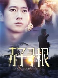 《赤子寻根》海报