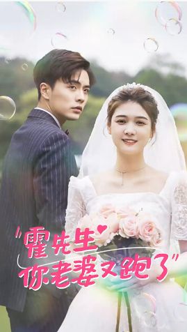 《霍先生你老婆又跑了》海报