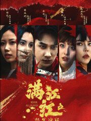《满江红之怒发冲冠》海报
