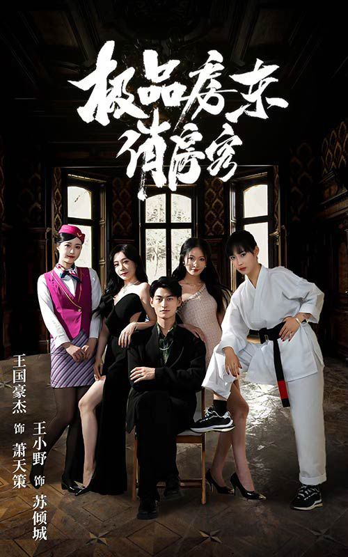 《极品房东俏房客》海报