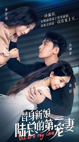 《替身新娘：陆总的第一宠妻》海报