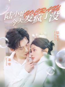 《陆小姐今天发疯了没》海报
