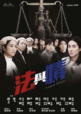 《法与情》海报