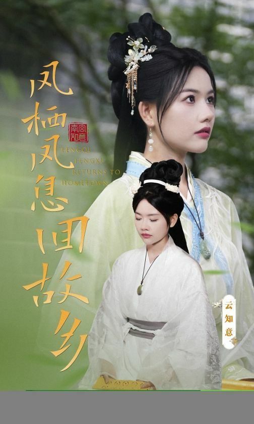 《凤栖凤息回故乡》海报