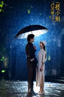 《又见面了楼小姐》海报