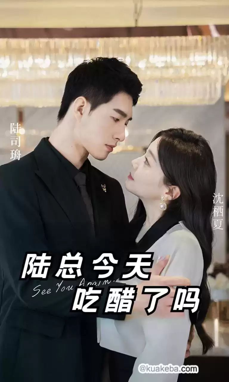 《陆总今天吃醋了吗》海报