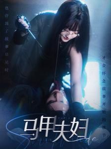 《马甲夫妇》海报