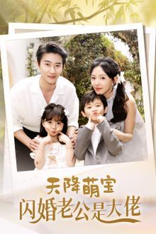 《天降萌宝闪婚老公是大佬》海报
