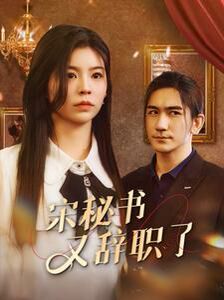 《宋秘书又辞职了》海报