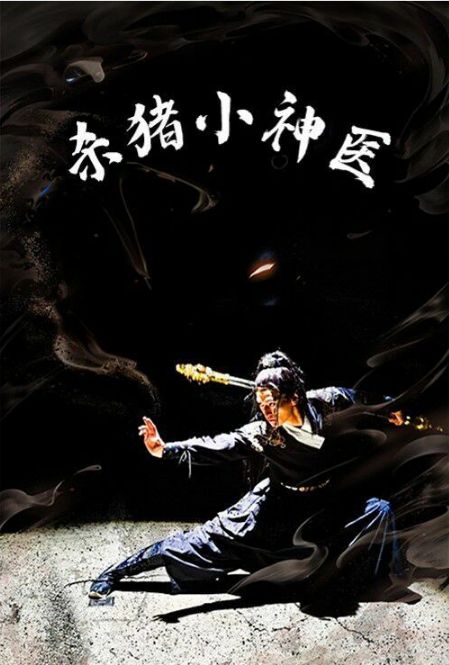《杀猪小神医》海报