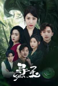 《寻玉》海报