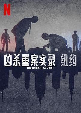 《凶杀重案实录：纽约》海报