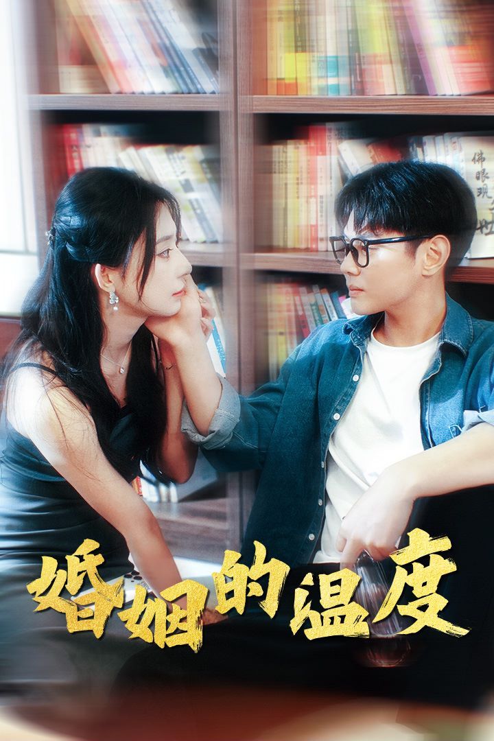 《婚姻的温度》海报