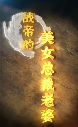 《战帝的美女总裁老婆》海报