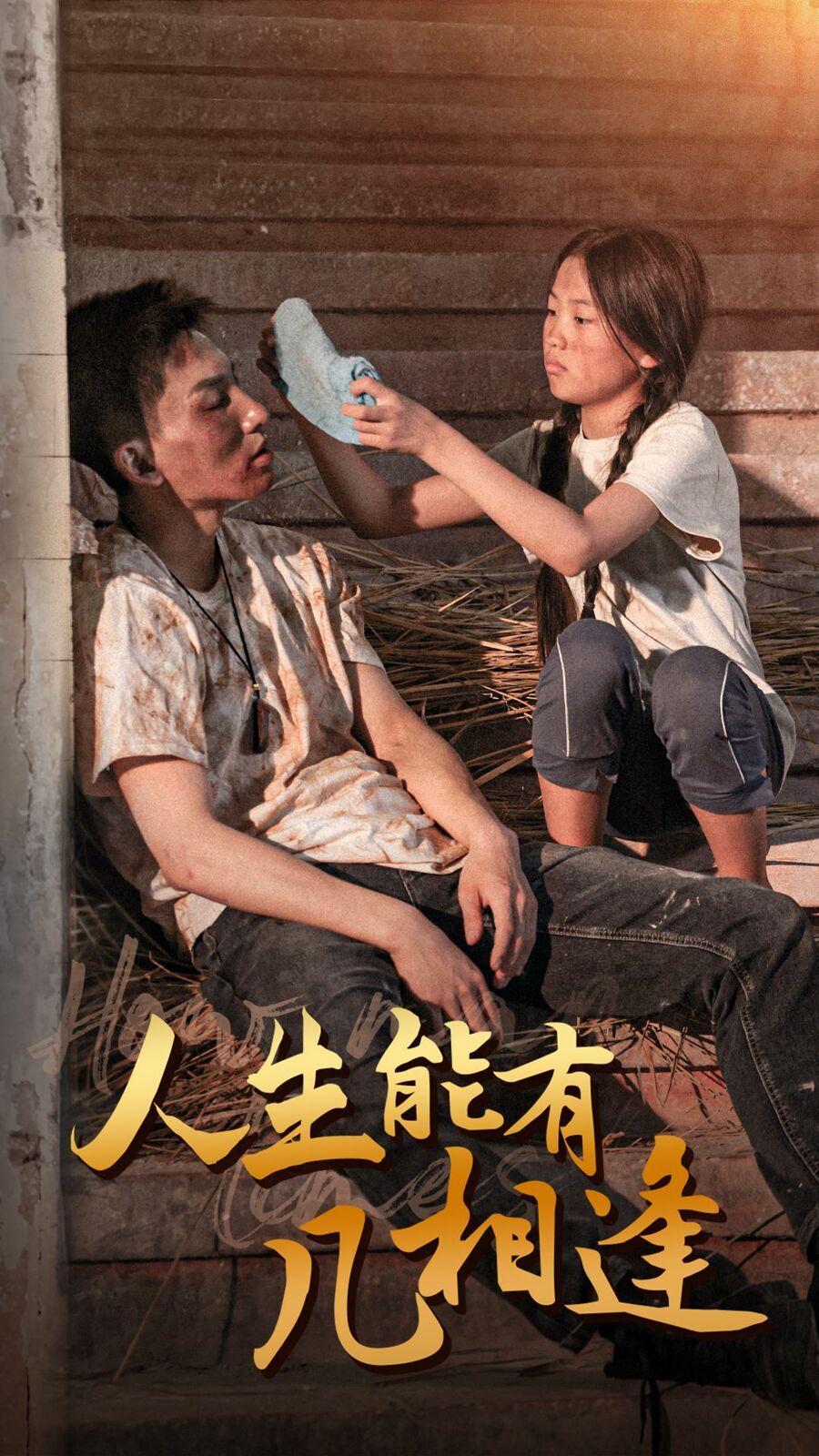 《人生能有几相逢》海报