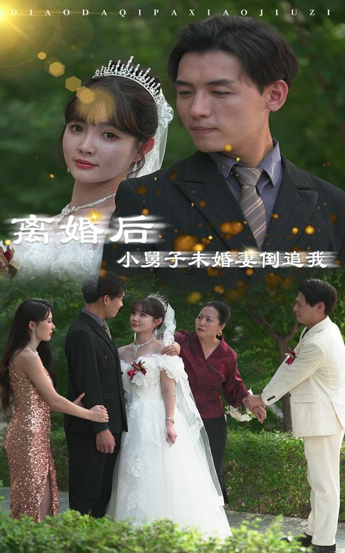 《离婚后，小舅子未婚妻倒追我》海报
