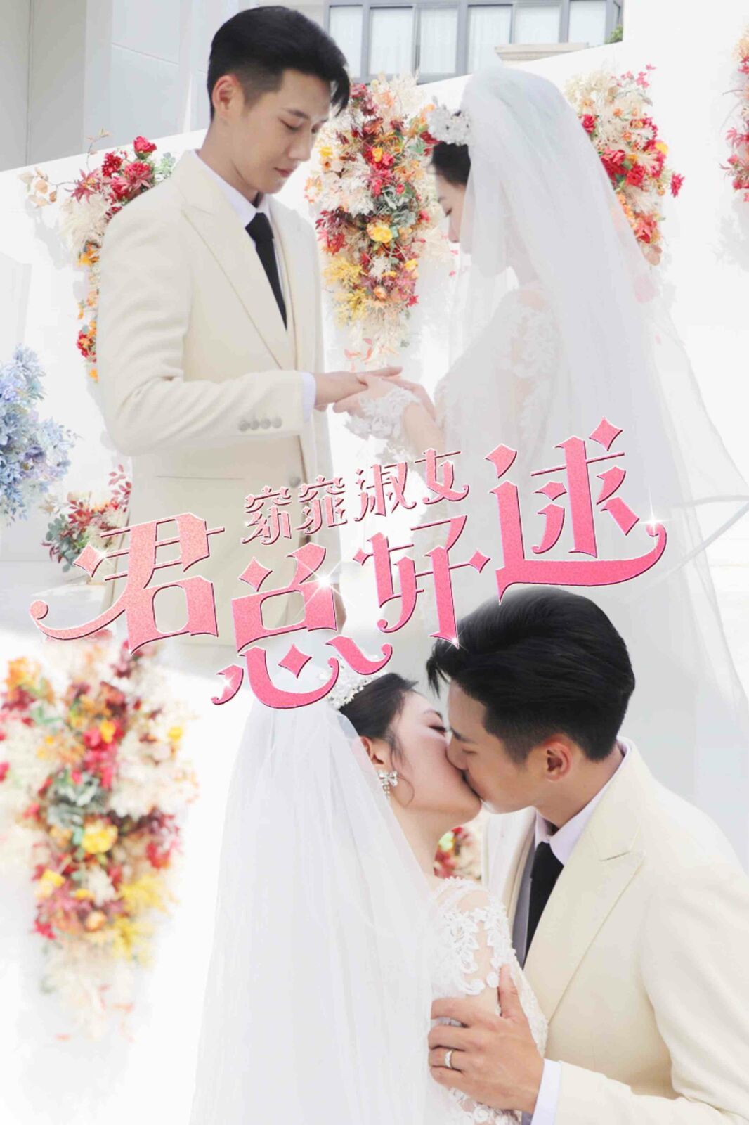 《窈窕淑女君总好逑》海报