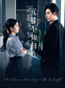 《沉暮不知归处》海报