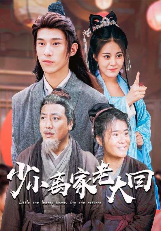 《少小离家老大回》海报