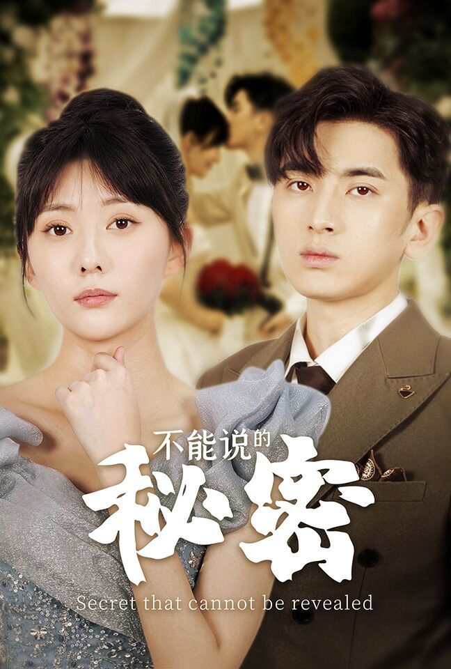 《不能说的秘密》海报