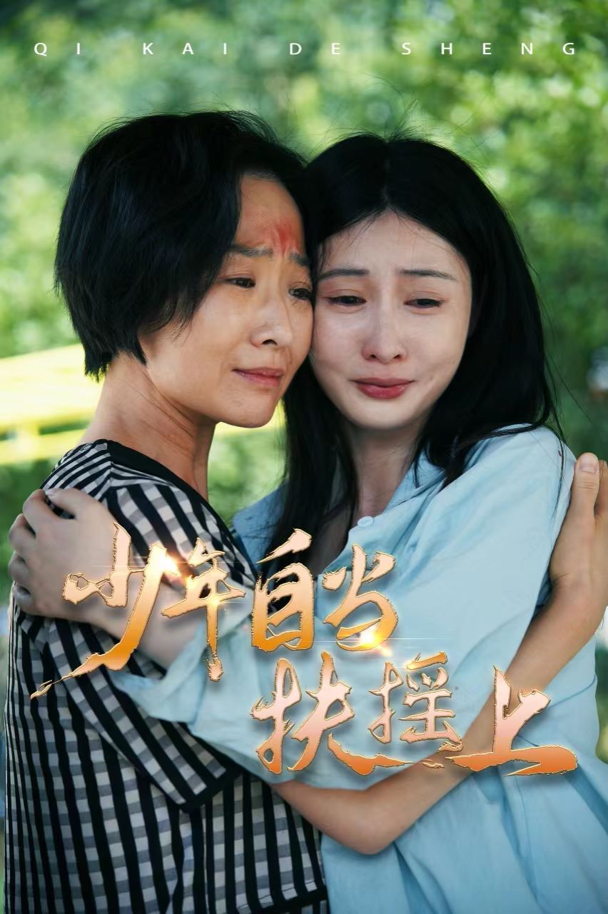 《少年自当扶摇上》海报