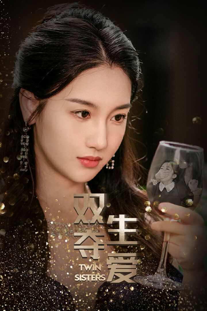 《双生夺爱》海报