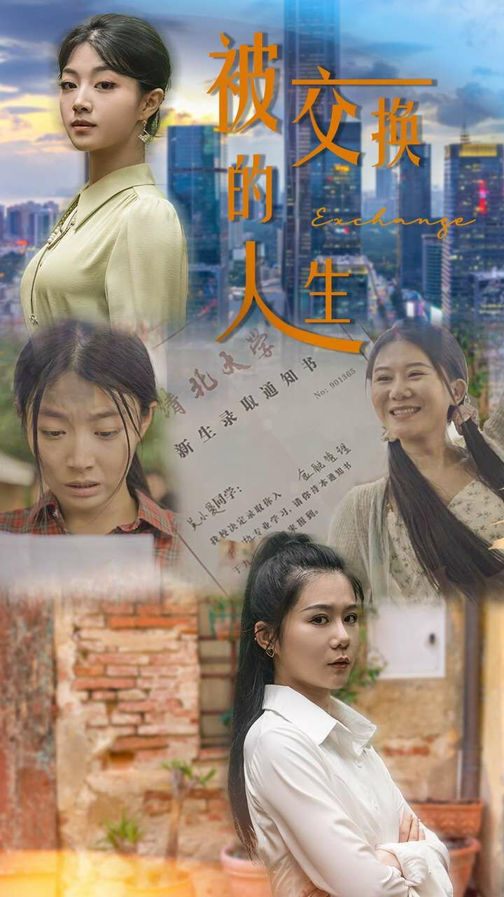 《被交换的人生》海报