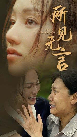 《所见无言》海报