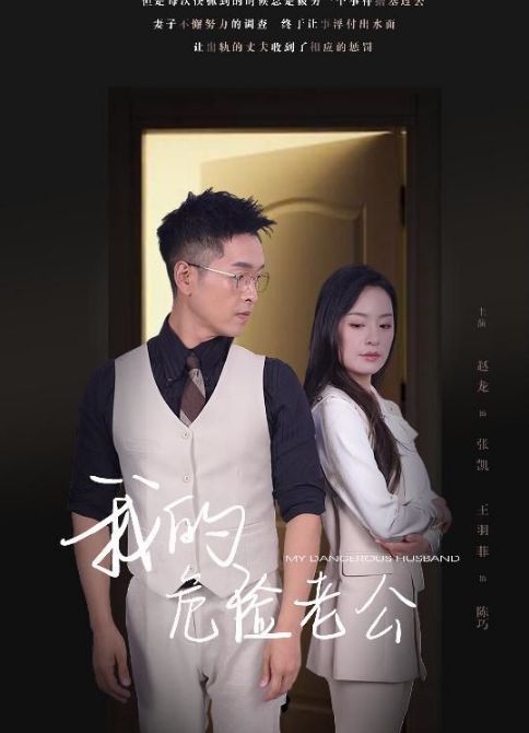 《新我的危险老公》海报