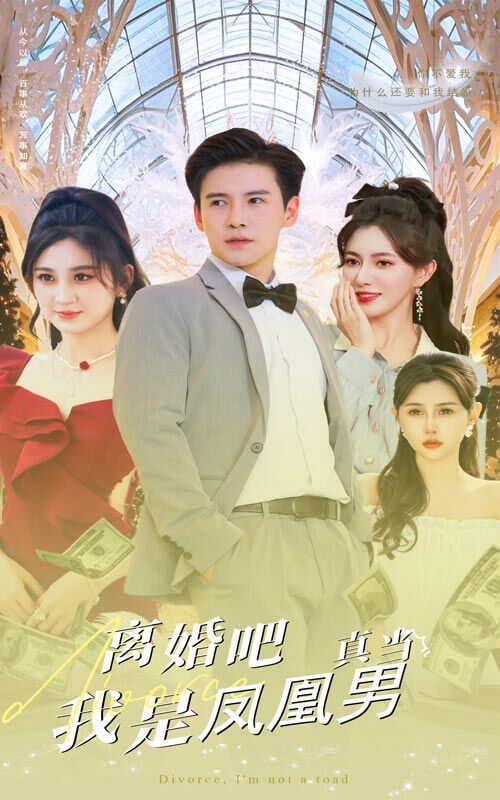 《离婚吧真当我是凤凰男》海报