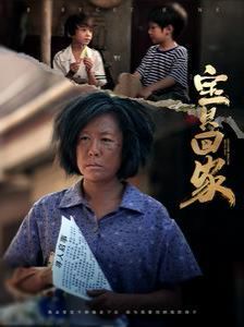 《宝贝回家》海报