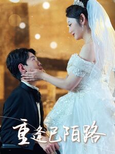 《重逢已陌路（林千金她装不下去了）（她如月光碎向星夜）》海报