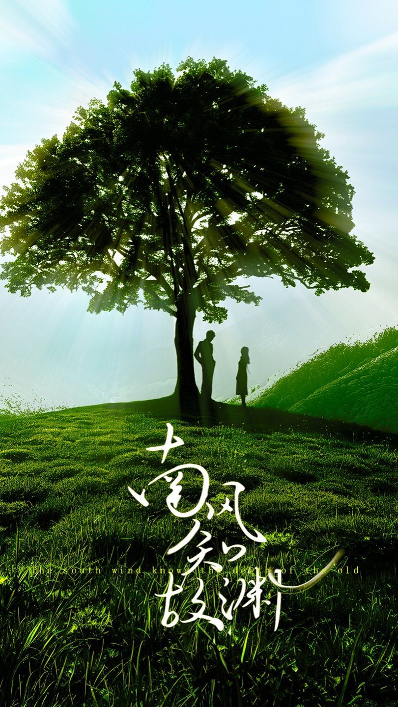 《南风知故渊》海报