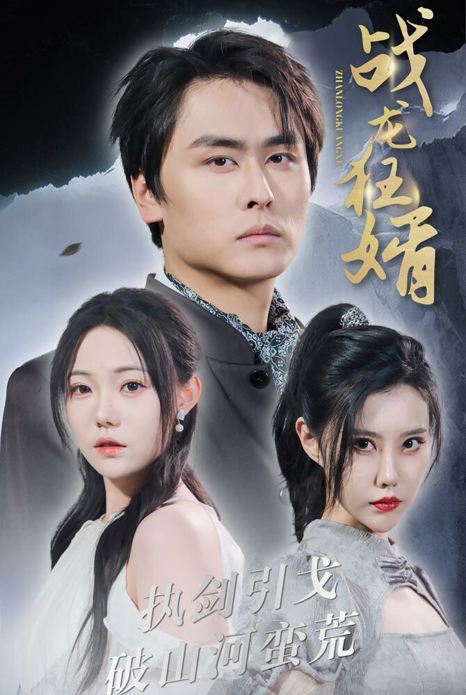 《战龙狂婿》海报