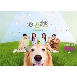 《宠他，还是爱我？》海报