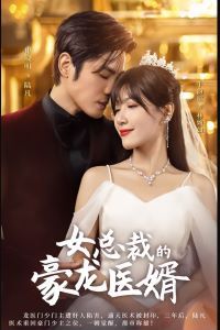 《女总裁的豪龙医婿》海报