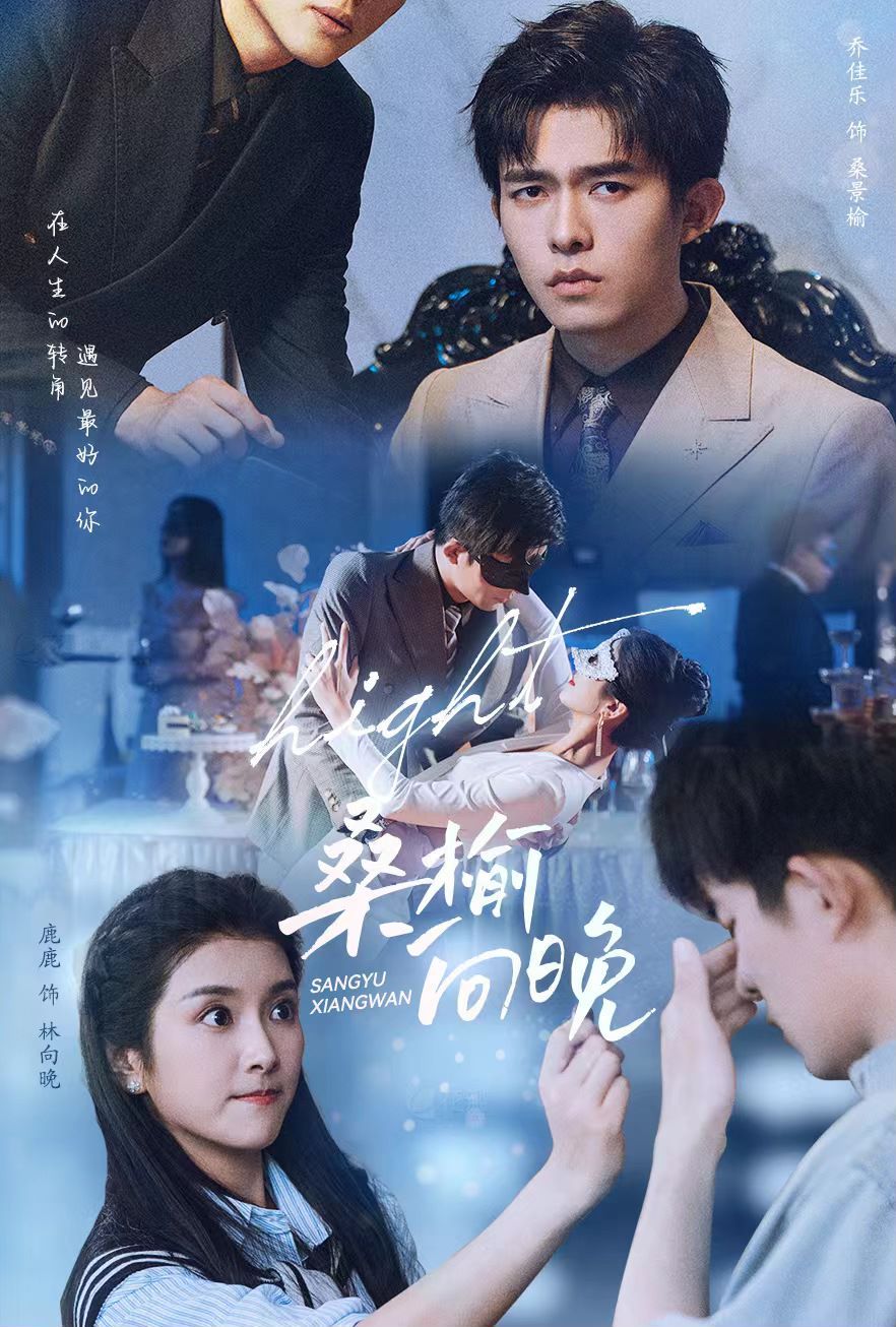 《桑榆向晚》海报