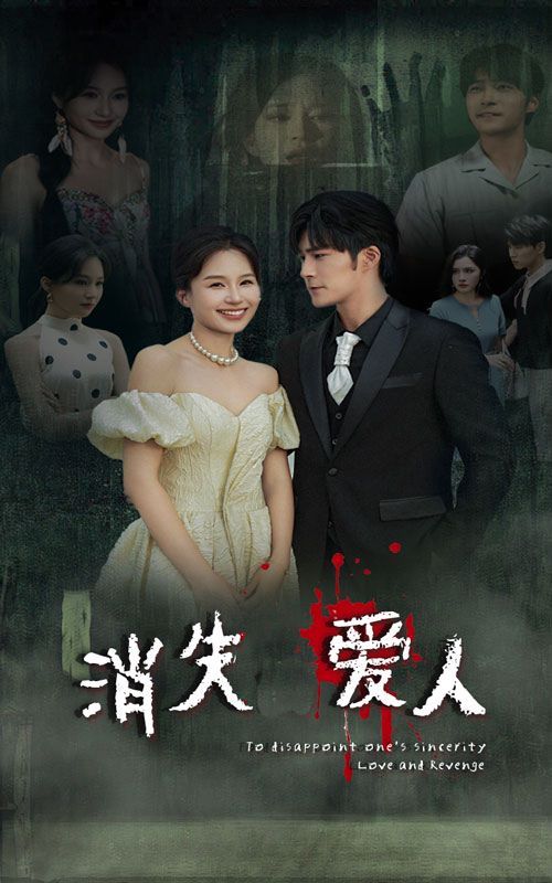 《消失爱人》海报