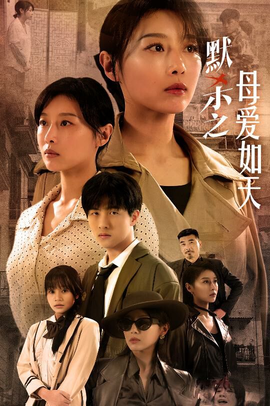 《默杀之母爱如天（默杀之母亲之怒）》海报