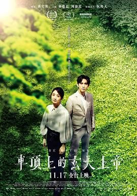 《车顶上的玄天上帝》海报