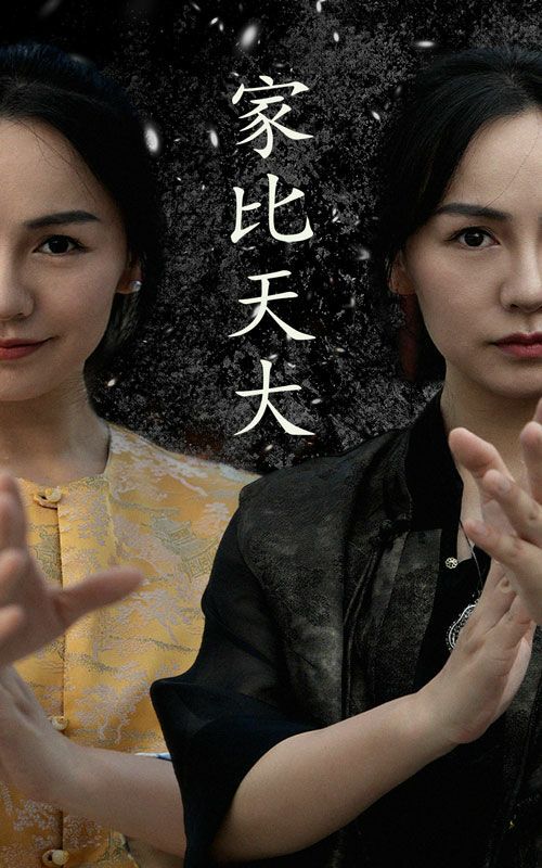 《家比天大》海报