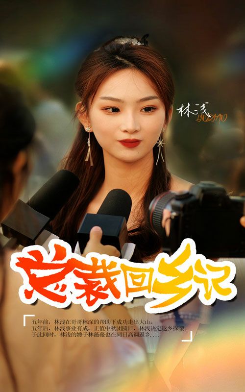 《总裁回乡记》海报