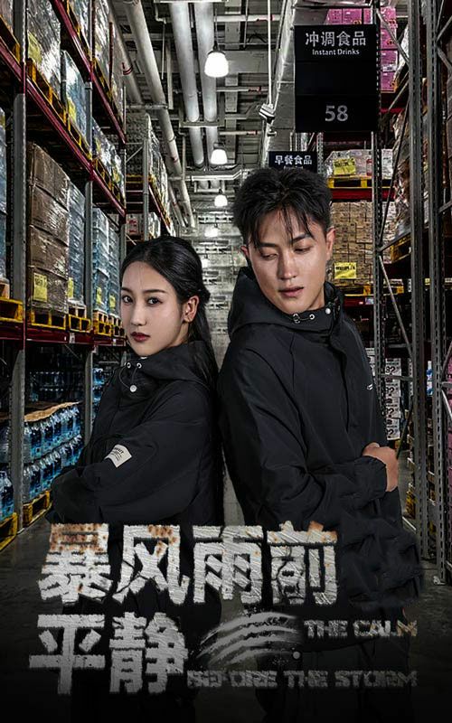 《暴风雨前的平静》海报
