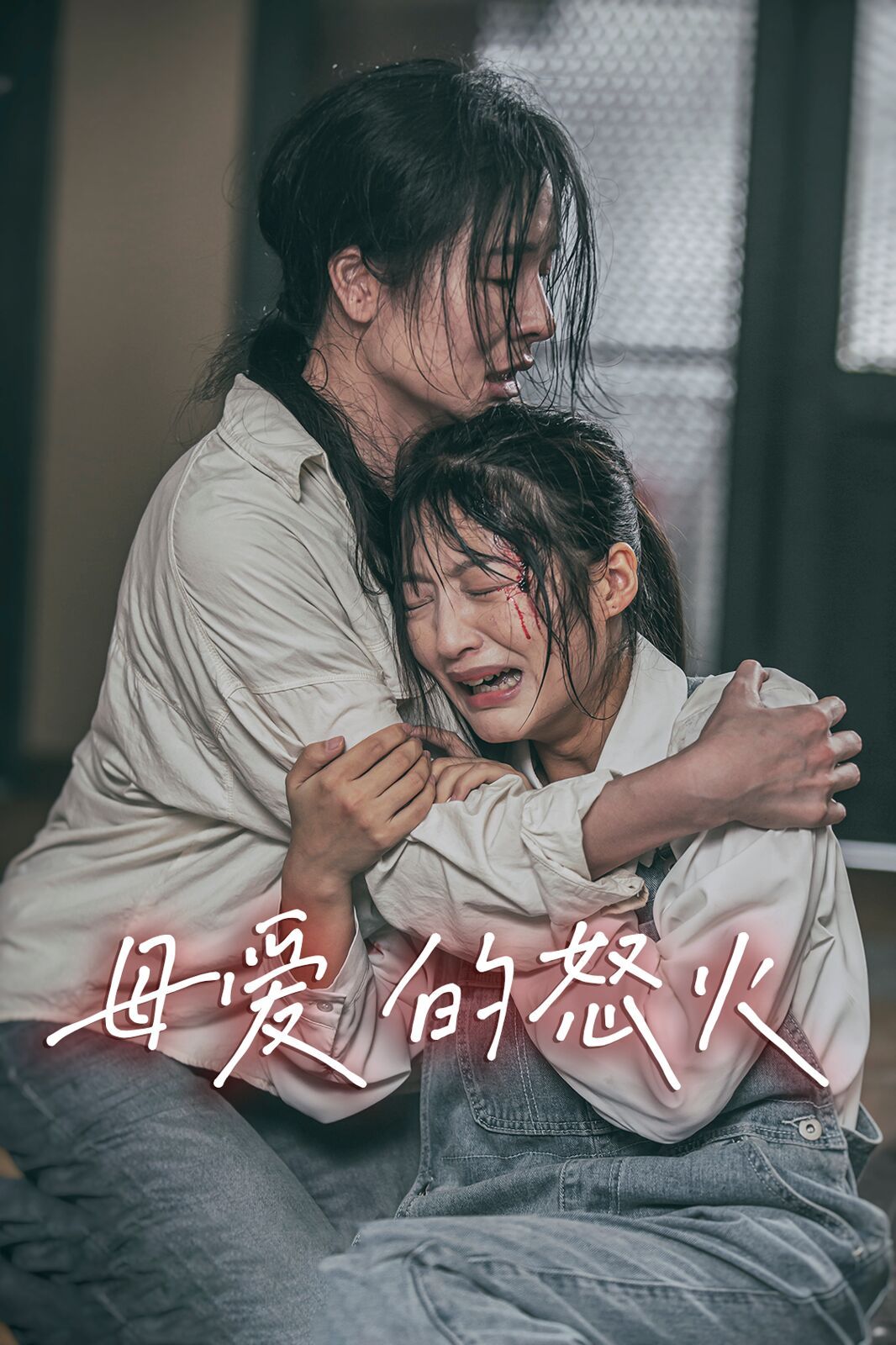 《母爱的怒火》海报
