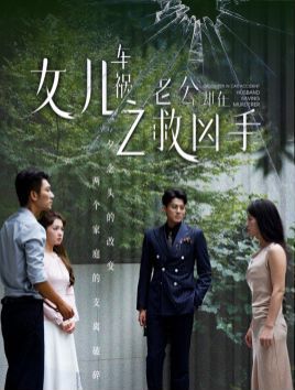 《女儿车祸之老公却在救凶手》海报