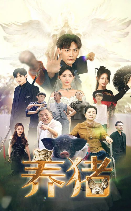 《养猪》海报