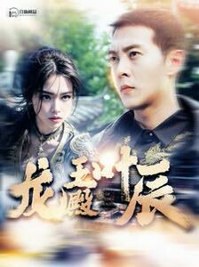 《龙王殿叶辰》海报
